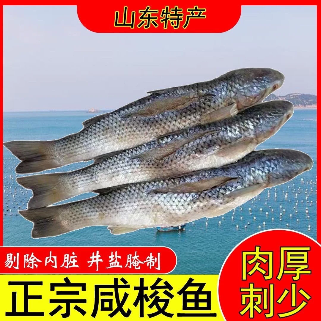 咸梭鱼渤海湾梭鱼新鲜梭鱼腌制海产品咸香梭鱼五斤挪威新鲜海鲜