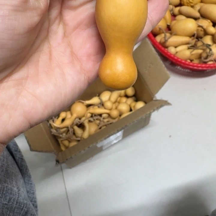 古*?本捻葫芦专拍链接