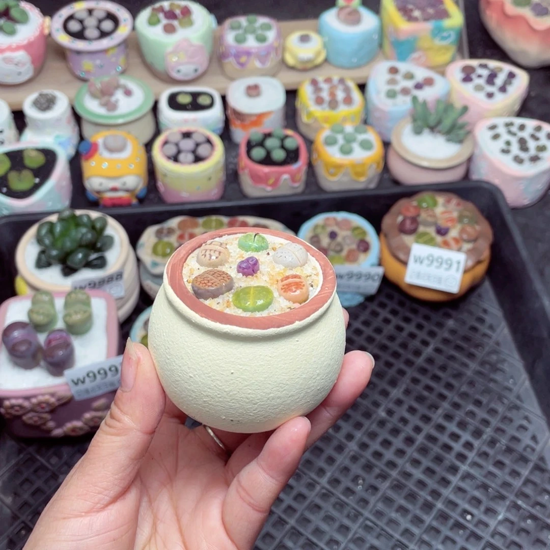 w9995 -零下地区拍保温箱-15支持寄养