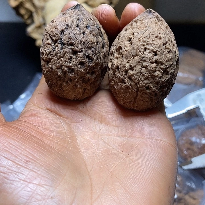 把件文玩核桃云南铁核桃基地36