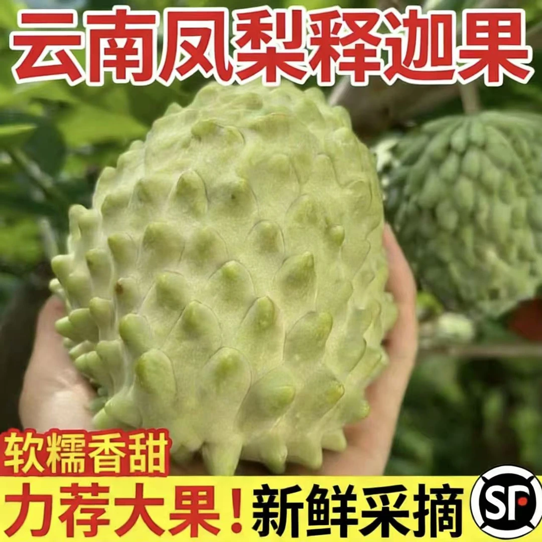 C云南新鲜番荔枝凤梨牛奶释迦果新鲜热带水果淡雅奶香现摘现发