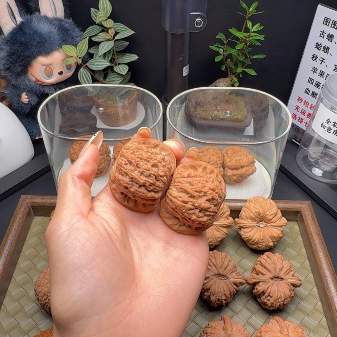 华***美龙脊菩提吊坠血麒麟（微修）43