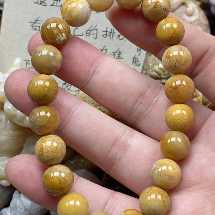 颈饰未镶嵌硅化珊瑚（珊瑚玉）