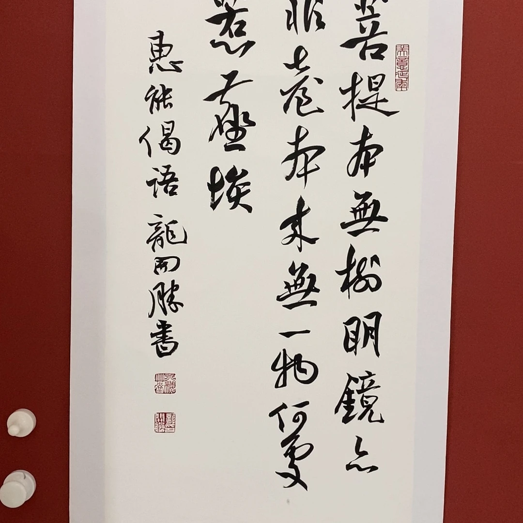 菩提直播大漏1111