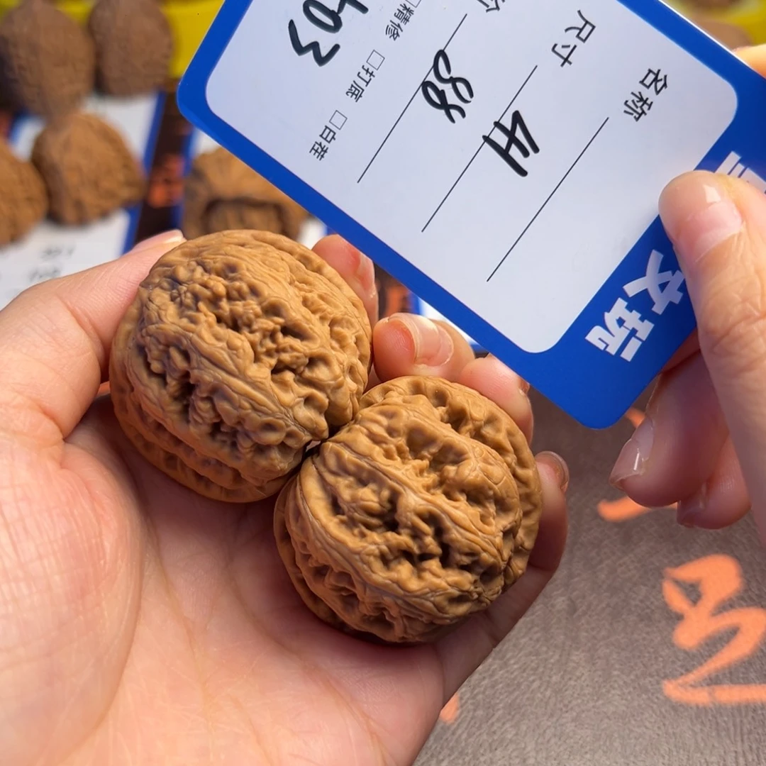 文玩核桃吊坠503大粗筋41尺