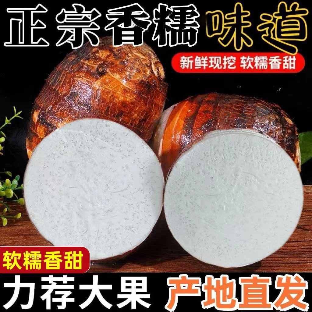 云南香妃白大芋头新鲜现挖白香芋槟榔粉糯芋头毛紫滕粉香芋头