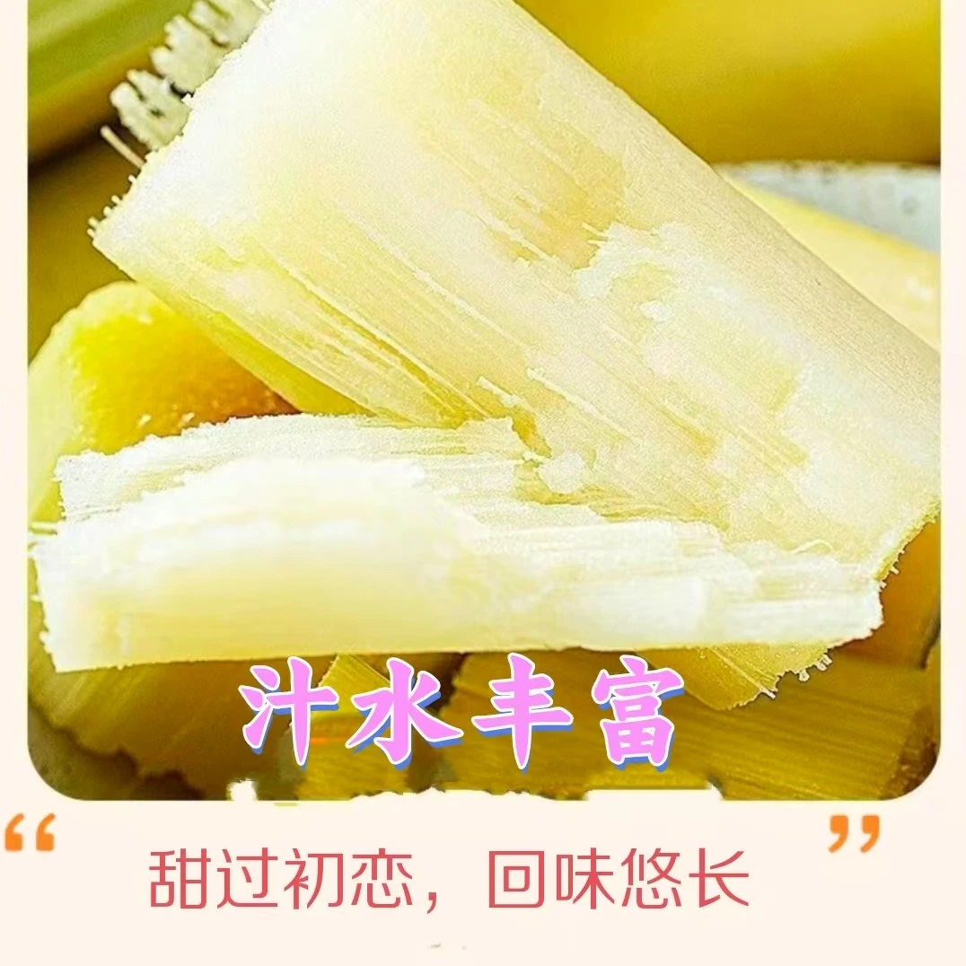【勐玛山】云南黄金甘蔗脆甜多汁孕妇新鲜水果甘蔗现砍产地直发