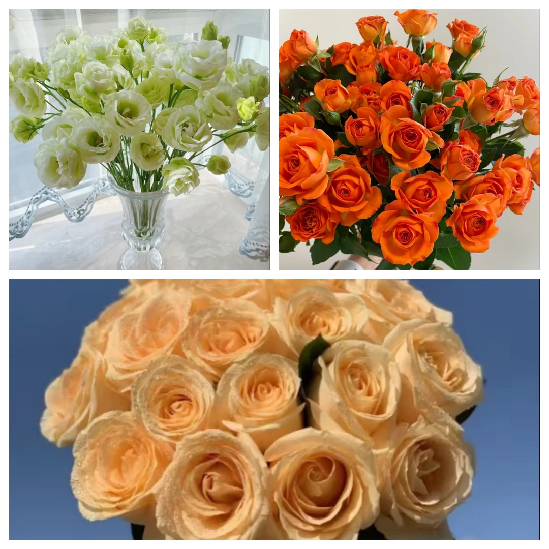 【香槟10支+橙芭比5枝+绿色洋桔梗200g】2单升级顺丰冷链/德邦空运