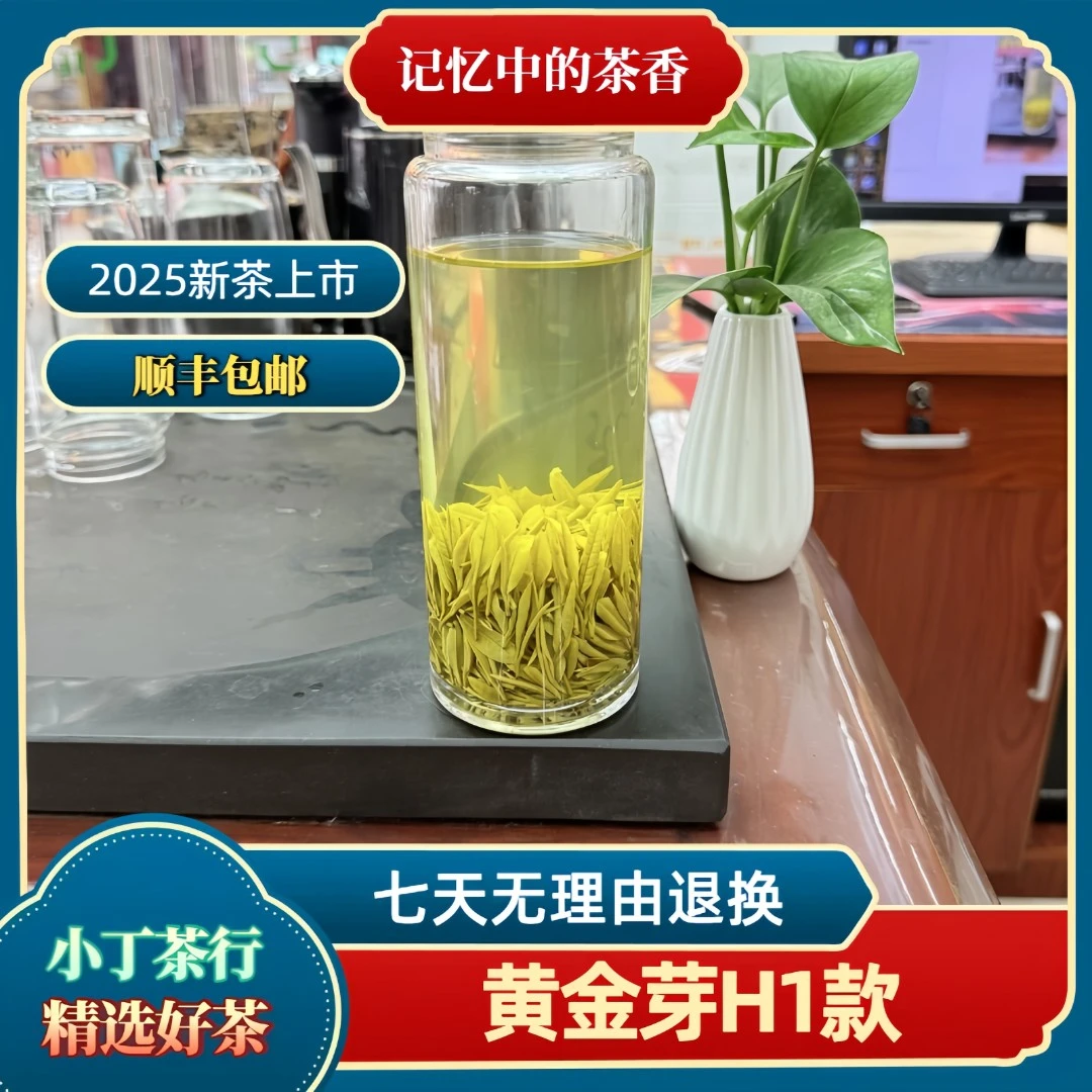 2025新茶【H1款】黄金芽绿茶高货浓香耐泡