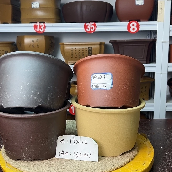 花盆紫砂你在一起