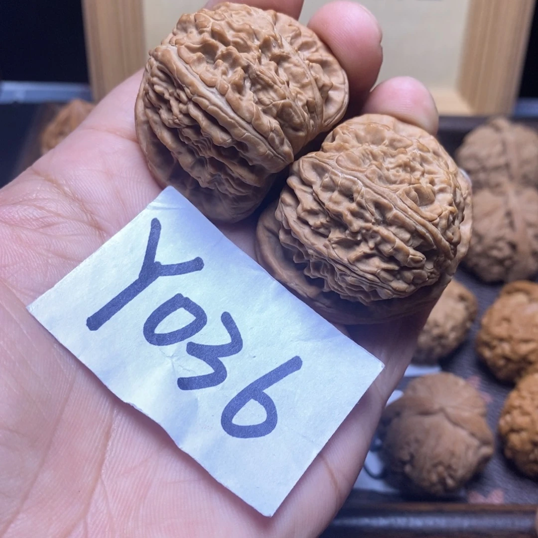 把件文玩核桃43尺白狮子