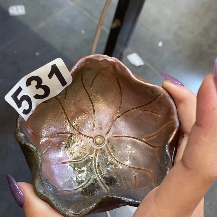 杯会***头柴烧肉等特色菜