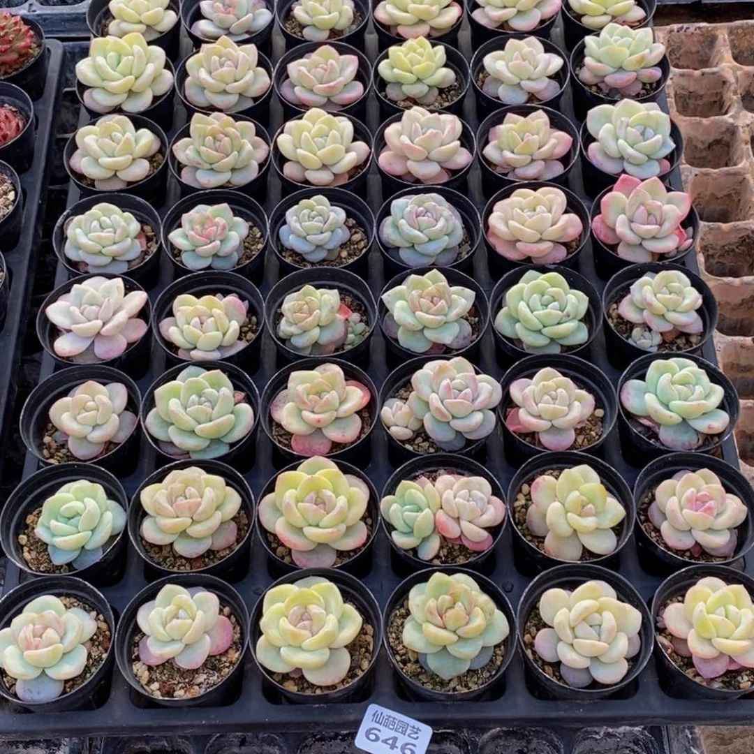 h****h646的人生态度是一