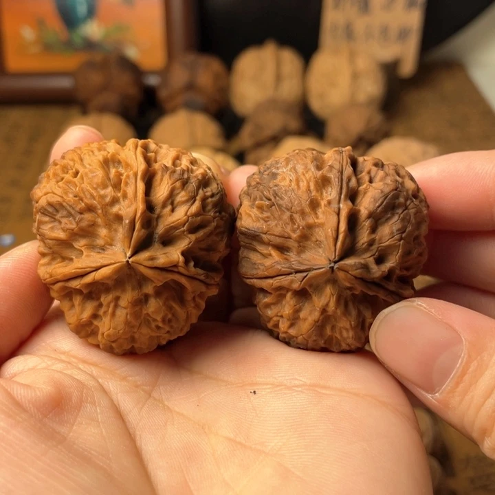 云南铁核桃默认微瑕63