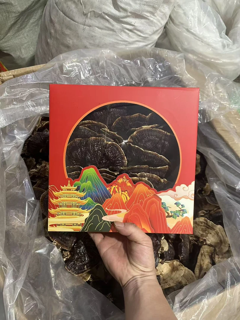 娟姐长白山大金边菌菇一盒300克