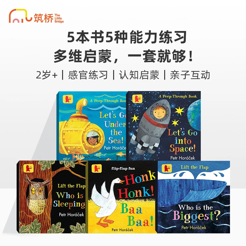 筑桥皮特·霍拉塞克的多彩世界