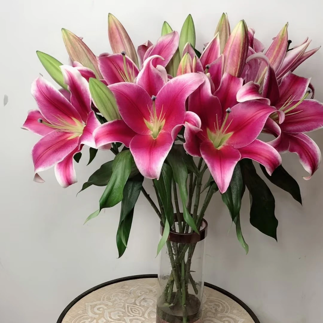 香水百合红福红红火火福气满满鲜花家用插花福利10支➕20支康乃馨