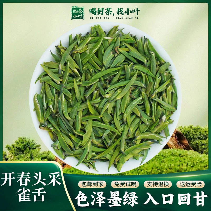 2025头春头采新茶T级竹青茶高山绿茶