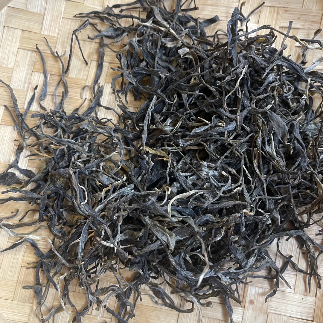 云南姑娘的茶  2024泡竹箐大树头春 云南普洱生茶 100g散茶