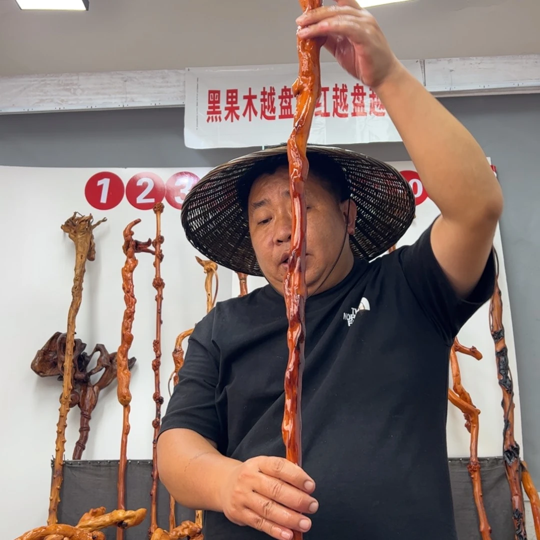 秋***三黑果木其他黑果木912
