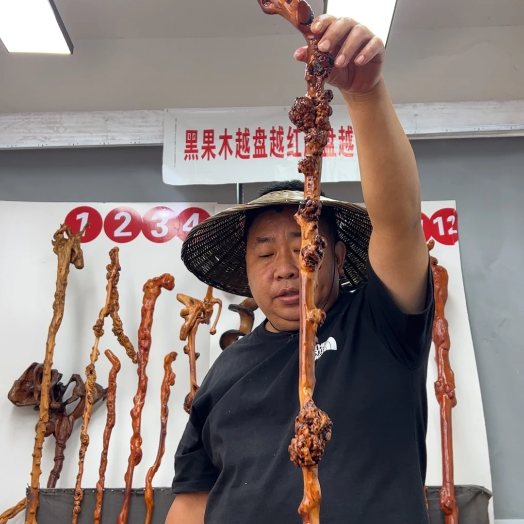 缘***和黑果木其他黑果木765