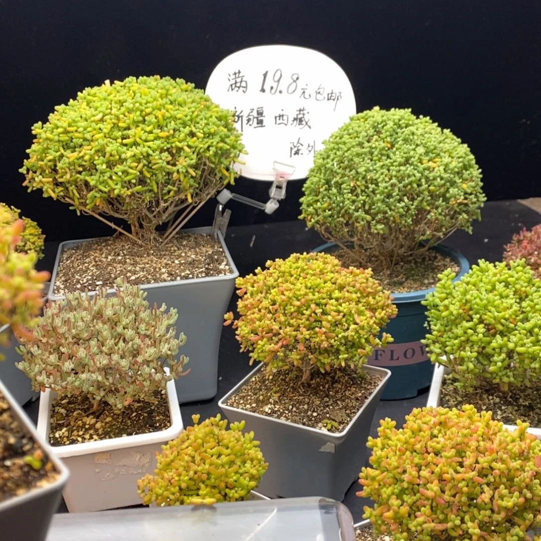 土2包可以装8-10个7方