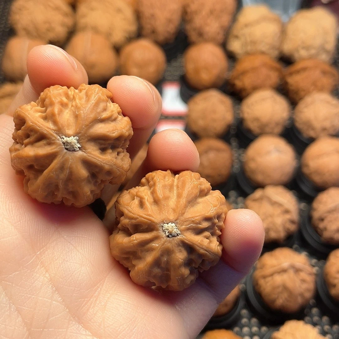 舍*?纯野生核桃高桩八棱