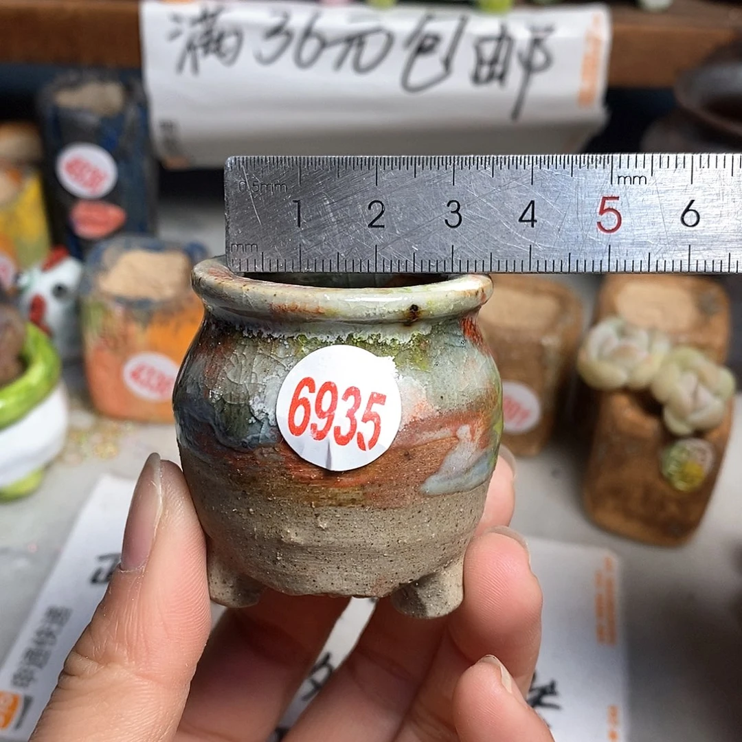 红陶拍5送一个小
