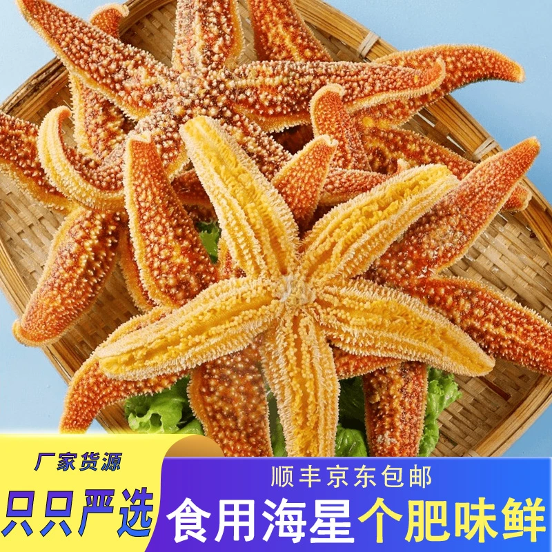 鲜活派大星新鲜熟冻速冻满籽海鲜五角星新鲜新鲜海鲜