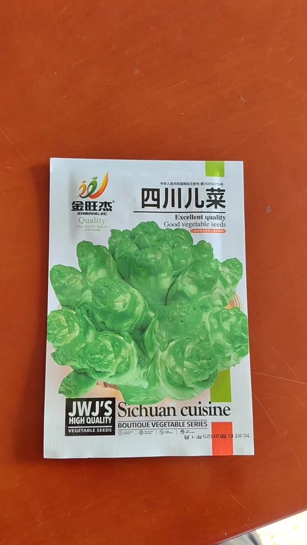 四川儿菜种子种子