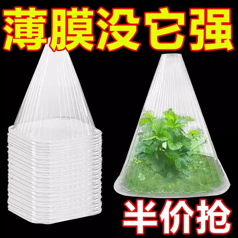 育苗保护罩透明钟罩可重复使用温室大棚免受鸟类霜冻伤害加厚保护