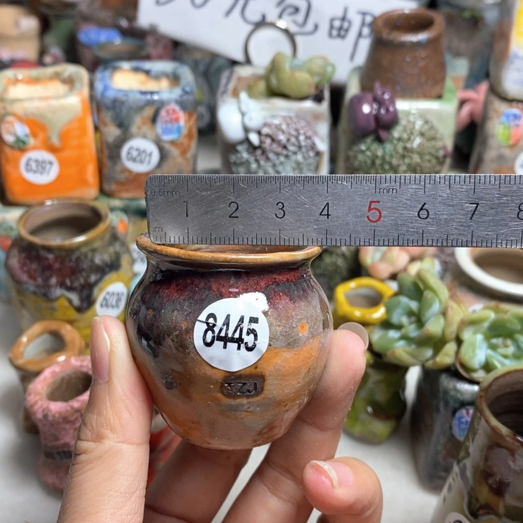 拍5送一个小礼物