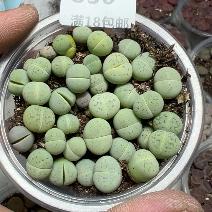 【闪购商品】 830.
