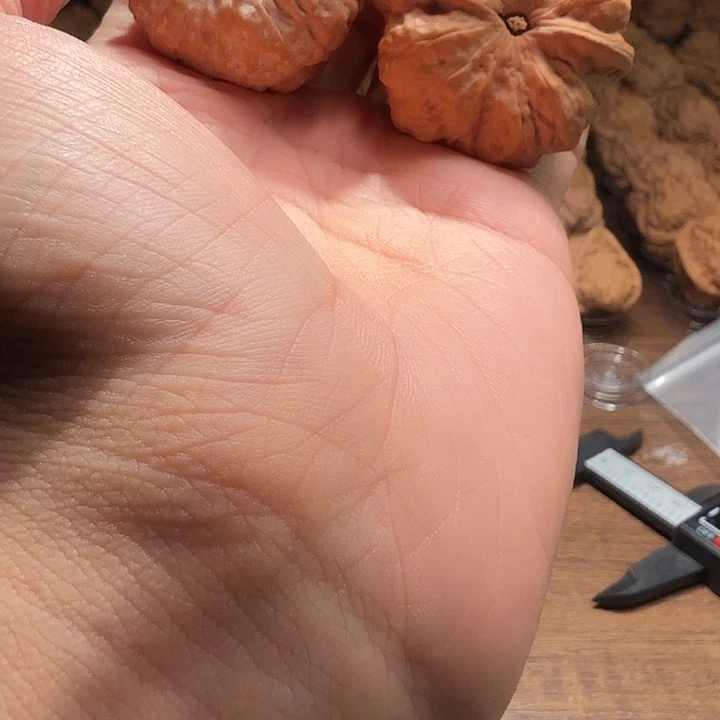 部***我核桃蛤蟆的眼睛是真的好看
