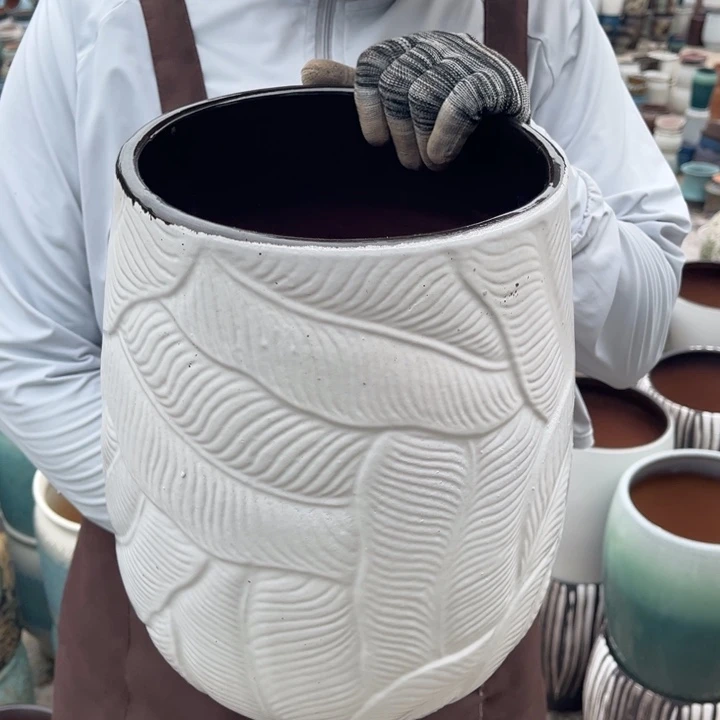 口20高31正品正品