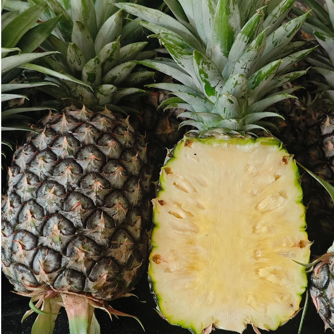 西双版纳黑钻牛奶凤梨（不挖眼不泡盐水）