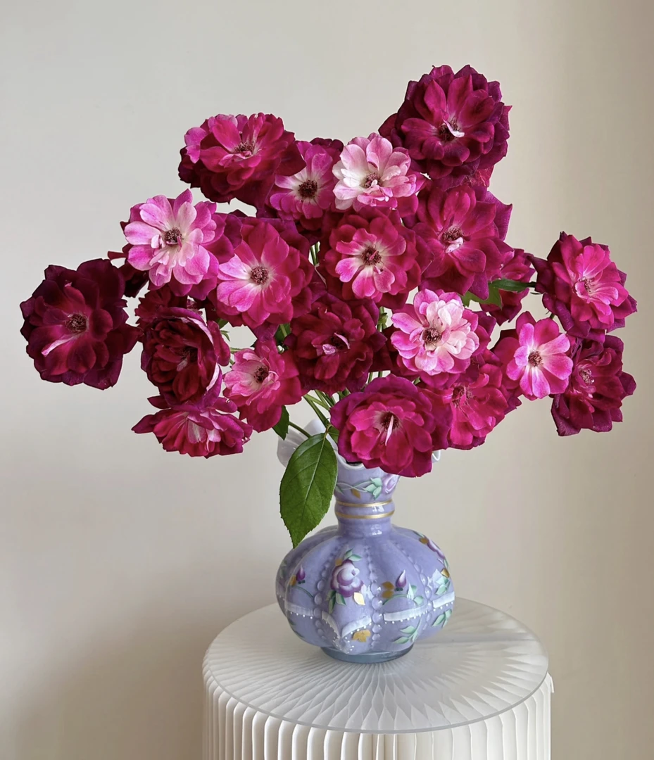 葡萄冰山（宏博）-多头玫瑰（任意两单包邮，一单需要补运费）鲜花