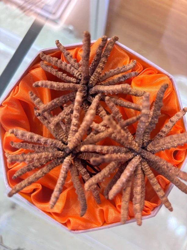 滋补养生高品质天然营养丰富适合送礼力