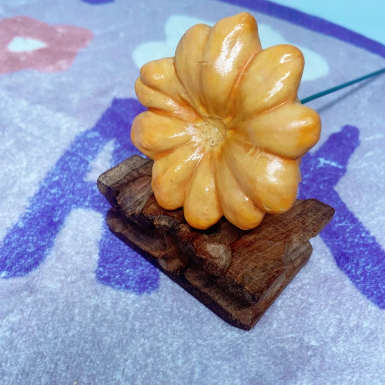 墨西哥七彩葫芦diy花束瑕疵干葫芦永久存放不含配饰