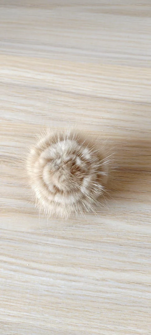 库存孤品样衣围巾 挂件（直播间为准，私拍默认发挂件）完美主义绕行