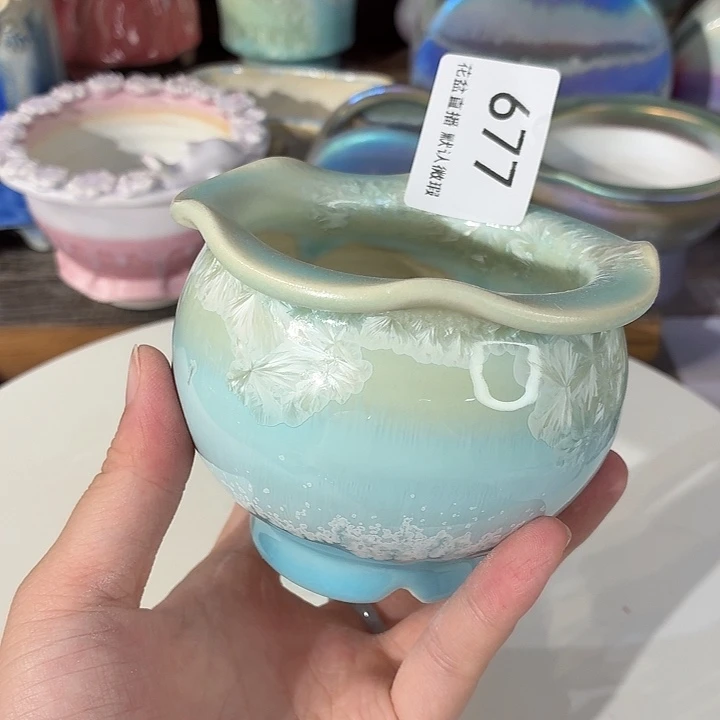 花盆花盆花盆花盆