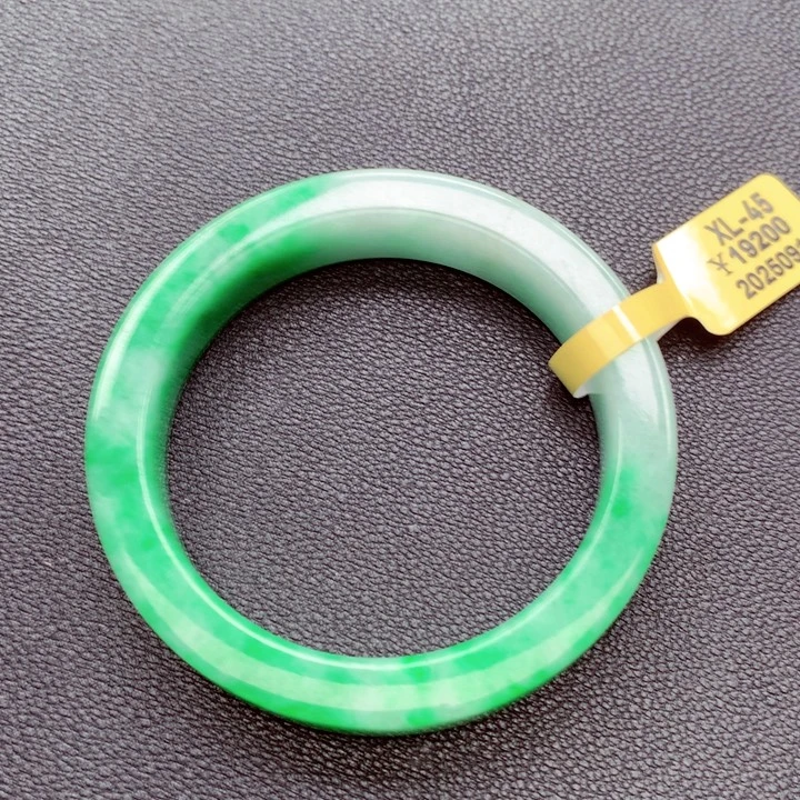 阿****未镶嵌手镯翡翠翡翠