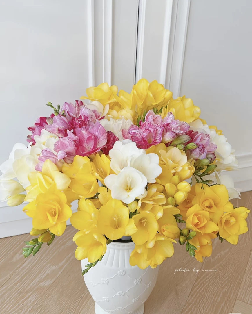 【玖宸花源】香雪兰（小苍兰） 鲜花优选 香氛体验感  家庭瓶插花