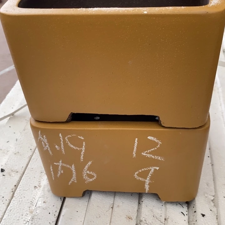 紫砂花盆自己的号码了没了