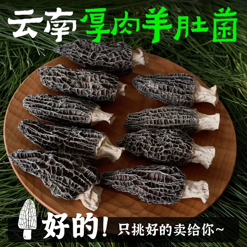 羊肚菌精选干羊肚菌干货