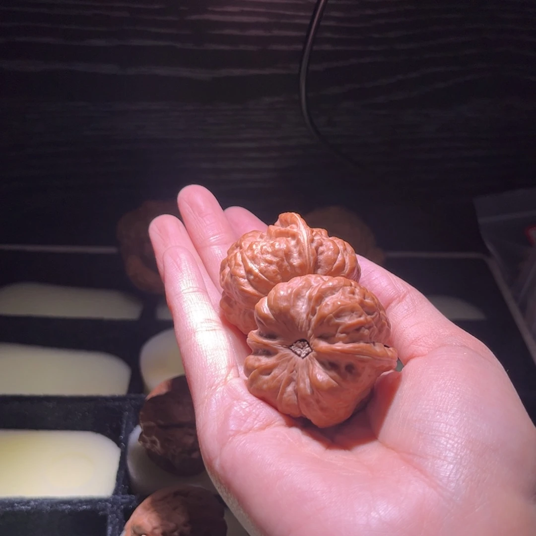 祝***野大叶紫檀（黑酸枝木类）蛤蟆