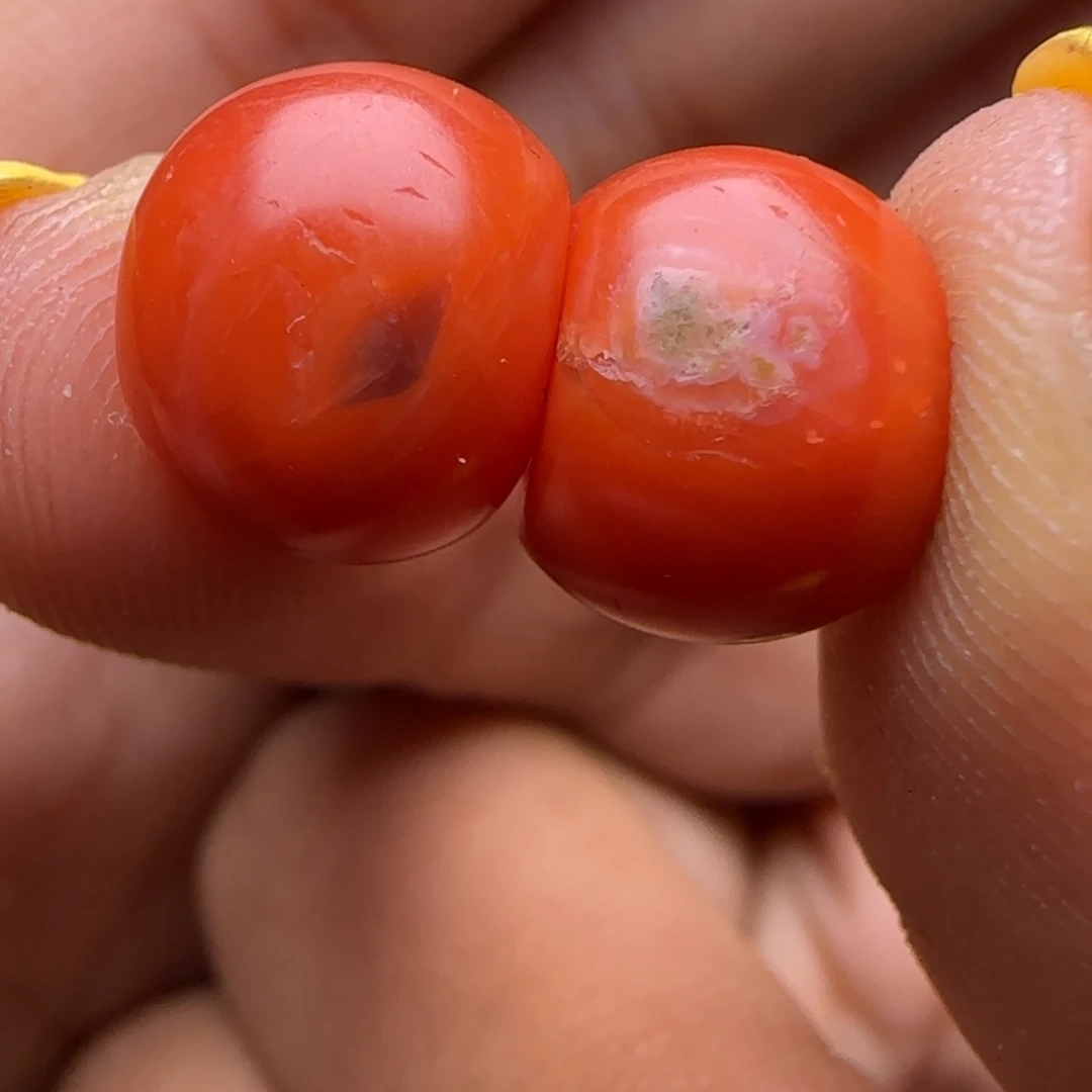 …………………………………………………………