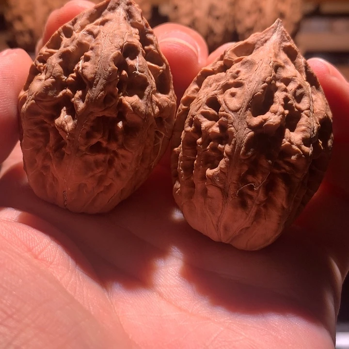 文玩核桃吊坠楸玥核44