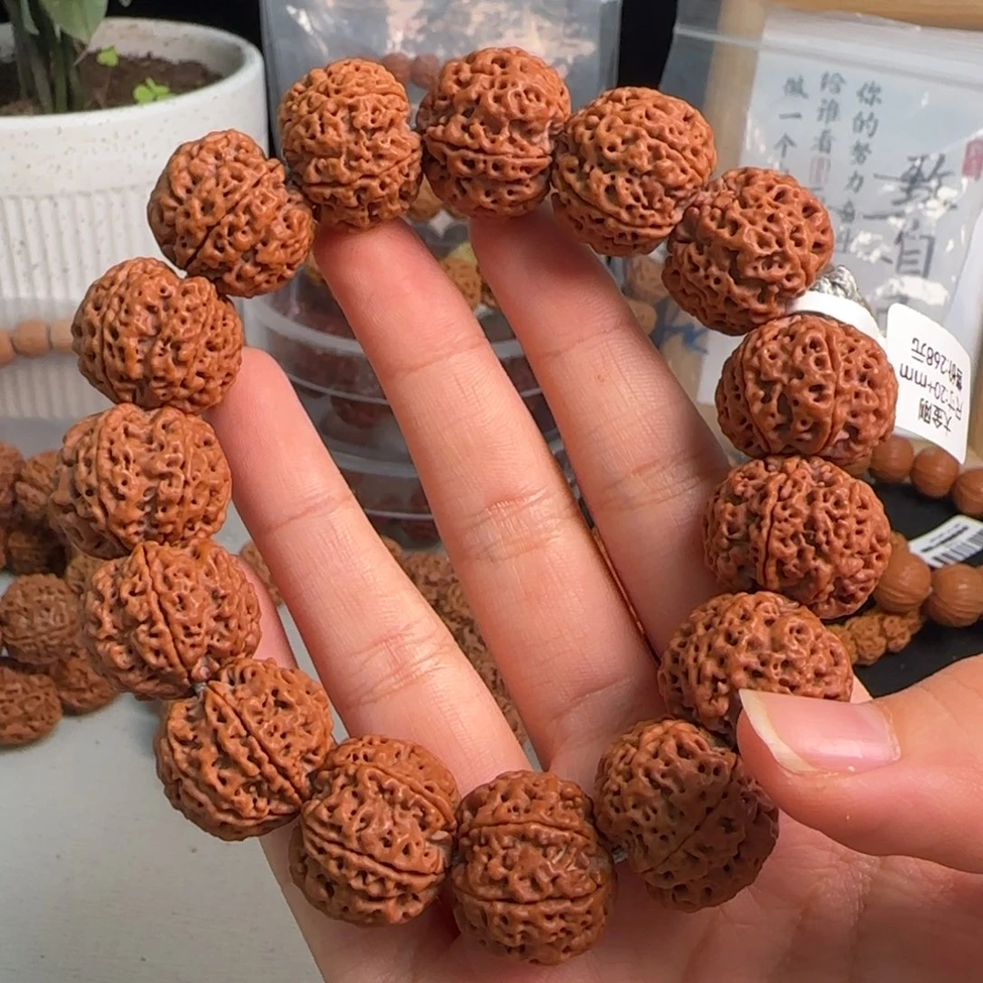 光***秋手串金刚菩提原生态大金刚