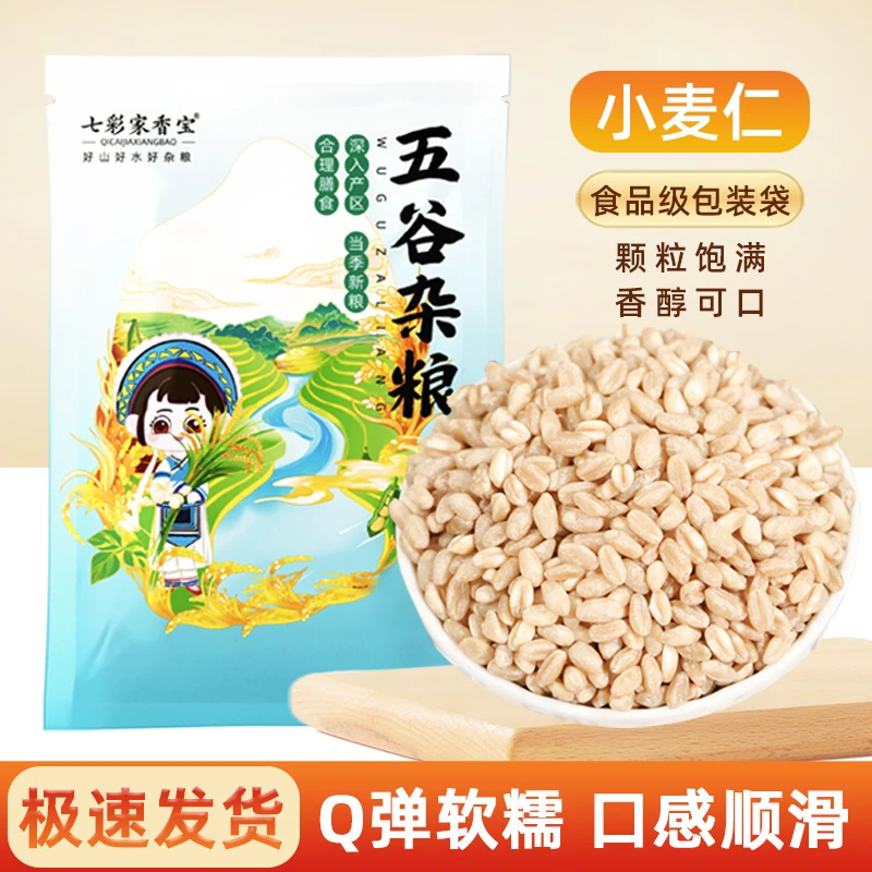 新鲜麦仁米麦子破壁机小麦粒早餐破壁机五谷杂粮麦仁新鲜新货新米